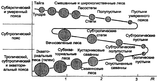 Географическая зональность