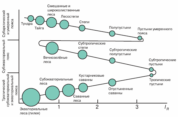 Географическая зональность