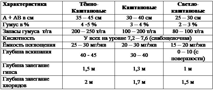 Каштановые почвы сухой степи