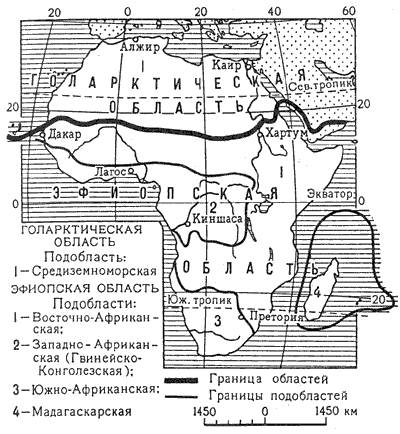 В животном мире пустынных районов Часть 1