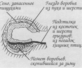 Воздушных путешествий совершать