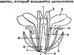 Физическая география часть 12