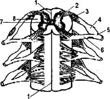 Физическая география часть 17