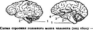 Физическая география часть 17