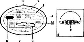 Физическая география часть 19