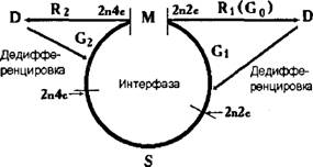 Физическая география часть 20