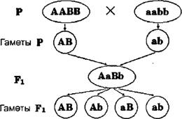 Физическая география часть 21