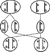 Физическая география часть 21