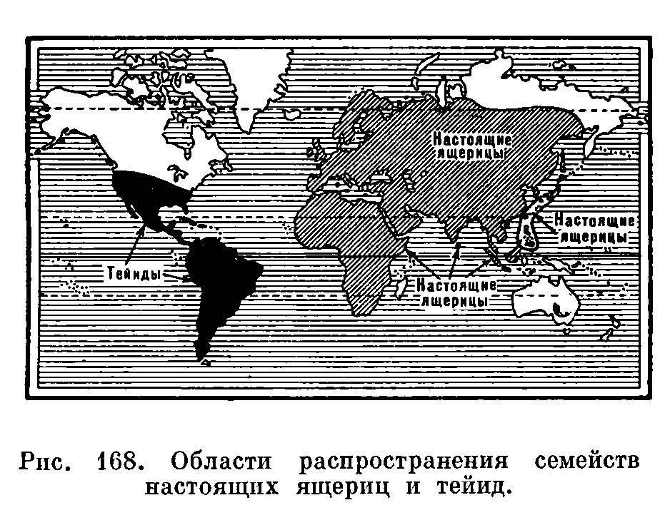 Из сохранившихся