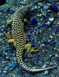 Рисунок состоит